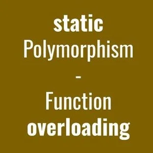 Vista del artículo: Static polymorphism